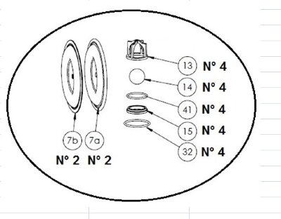 Repair kit for FLUIMAC PHOENIX 700 HTTPT pneumatic diaphragm pump