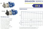 Pompe chimique en plastique FLUIMAC DRAGON DR 6 PVDF, 0,75 kW, 220 V