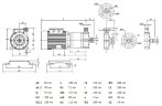 Pompe centrifuge FLUIMAC FMP06.10 avec accouplement magnétique (Argal TMP 06.10)