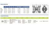 Pompe pneumatique à membrane pour acide sulfurique PHOENIX P90 PP SANTOPRENE+PTFE, 100 l/min